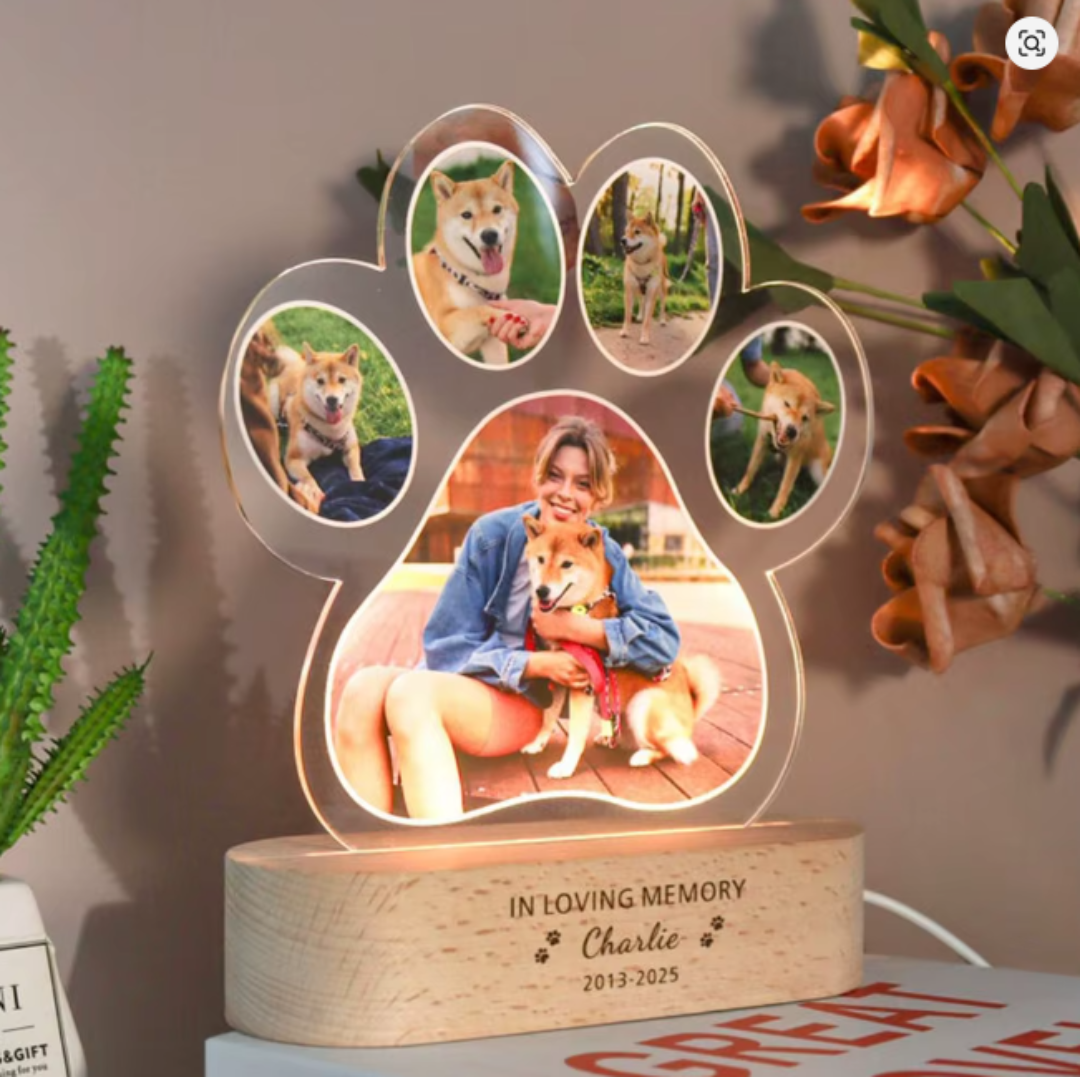 Pawvera™ Pet Photo Lamp
